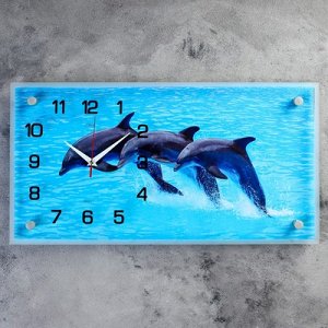 Часы настенные, серия: Море, "Дельфины", 26х52 см, микс