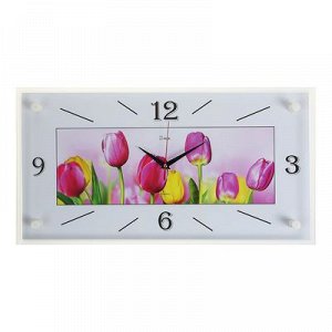 Часы настенные, серия: Цветы, "Тюльпаны", 26х52 см