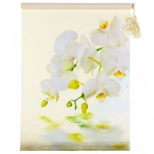Штора-ролет 50х160 см "Орхидея", цвет бежевый