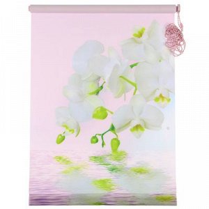 Штора-ролет 50х160 см "Орхидея", цвет розовый