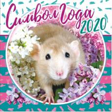 Перекидной МАЛЫЙ календарь на скрепке на 2020 год "Год крысы. Фото"