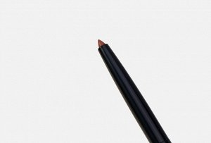 ALVIN D'OR P-21 Карандаш д/губ "Aivin D`or" гелевый водостойкий Lipliner for shading 0,29г. (тон 05 шоколадный)