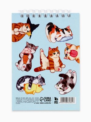 Блокнот А6, 40 л. на гребне, мягкая обложка «Кото-блокнот»
