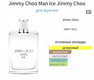 Мужские духи Jimmy Choo Ice 100 мл. Оригинал
