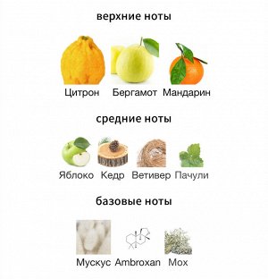 Мужские духи Jimmy Choo Ice 100 мл. Оригинал