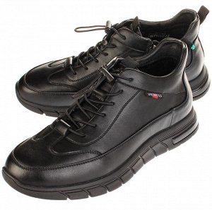 Оксфорд Baden ZX014-010