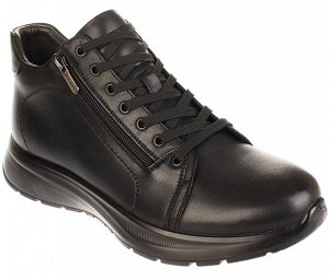 Дерби Shoiberg 100-02-01-01T