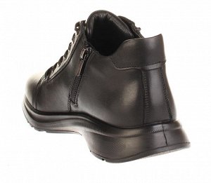 Дерби Shoiberg 100-02-01-01T