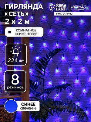 Гирлянда «Сеть» 2x2 м, IP20, тёмная нить, 224 LED, 8 режимов, 220 В, свечение синее