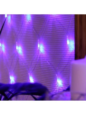 Гирлянда «Сеть» 1.6x1.6 м, IP20, прозрачная нить, 144 LED, 8 режимов, 220 В, свечение синее