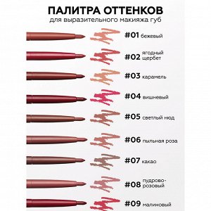 Карандаш - автомат для губ "ARTIST" 09 приглушенно-малиновый