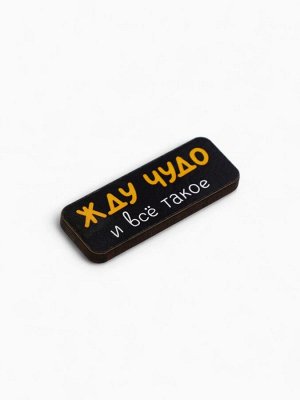 Значок новогодний «Радуйте близких», 4x1.5 см