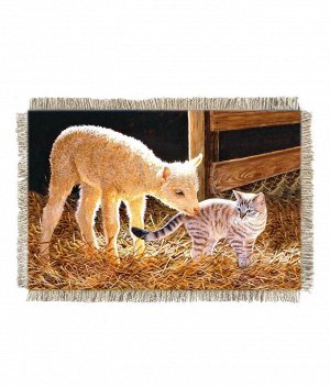 Агнец и котёнок