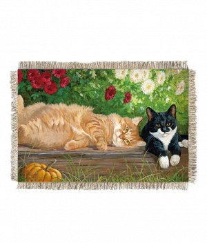 Кошачьи будни