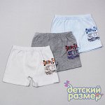Боксеры