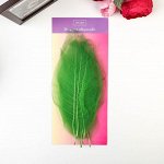 Листья скелетированные для творчества &quot;Зелёные&quot; набор 10 шт 25х10 см