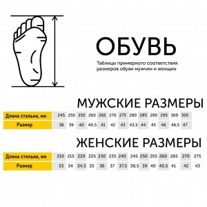 Размерная сетка