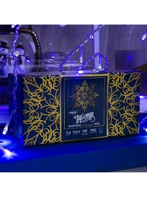 Гирлянда «Бахрома» 3x0.6 м, IP44, УМС, прозрачная нить, 160 LED, свечение синее, мерцание белым, 220 В