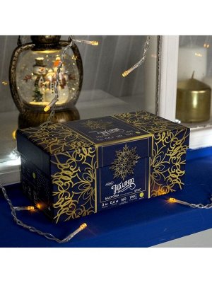Гирлянда «Бахрома» 3x0.6 м, IP44, УМС, прозрачная нить, 160 LED, свечение жёлтое, мерцание белым, 220 В