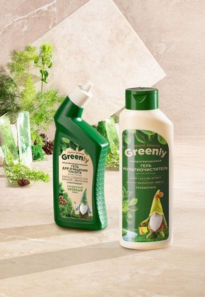 Многофункциональный гель для очищения туалета «Хвойный микс» Home Gnome Greenly