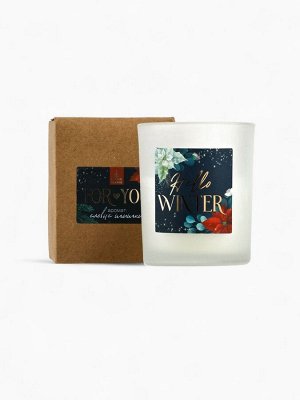 Ароматическая свеча в стакане Hello winter, еловые шишки, 7?7?8.5 см