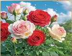 Набор для вышивания крестиком