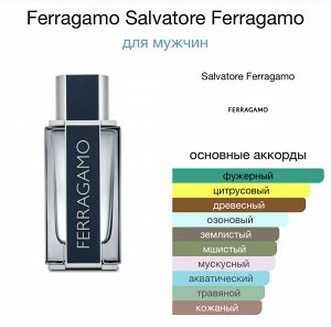 Мужские духи Ferragamo Salvatore Ferragamo 100 мл. Оригинал