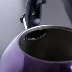 Чайник со свистком 2,1 л "Модерн", фиксированная ручка, цвет фиолетовый