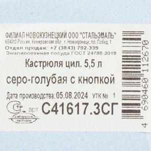 Кастрюля эмалированная сталь, 5.5 л, крышка сталь, с пластмассовой кнопкой, СтальЭмаль, С41617.3СГ, серо-голубая