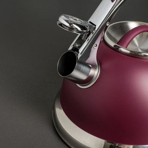 Чайник со свистком 3 л "Пуэрто", индукция, цвет фиолетовый