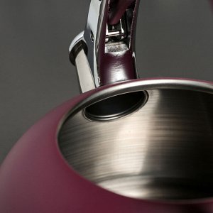 Чайник со свистком 3 л &quot;Пуэрто&quot;, индукция, цвет фиолетовый