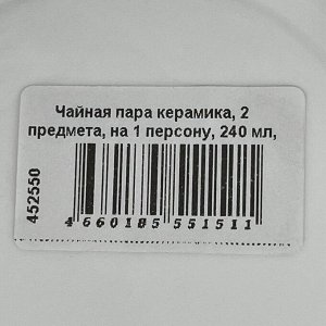 Чайная пара керамика, 2 предмета, на 1 персону, 240 мл, Daniks, Сеть, Y4-7606