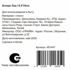 Блюдо стекло, прямоугольное, 14.5х24 см, Лед, Y4-8750