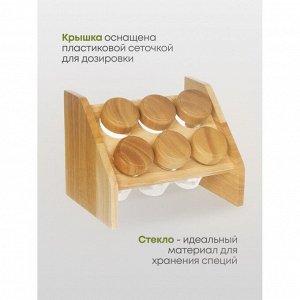 Набор для специй стекло, дерево, 6 шт, на подставке, бежевый, Y3-1139