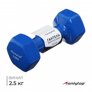 Гантель виниловая ONLYTOP, 2.5 кг, цвет синий