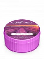 Лаванда Прованса / Country Lavender
