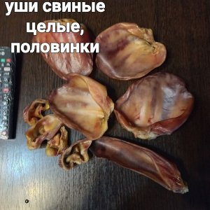 Раковина ушная свиная