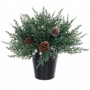Хвойная композиция "Живая пихта" 22*22*18 см