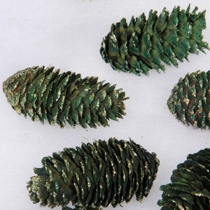 Композиция для декора "Сказочные шишки" 10*10*13 см (120 гр), зелёный
