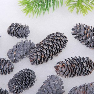 Композиция для декора "Сказочные шишки" 10*10*13 см (120 гр), графит
