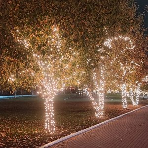 Гирлянда для улицы "Мерцание" 20м 240 ламп LED чёрный провод,1 реж.,IP-54, Теплый белый (возможность соединения)