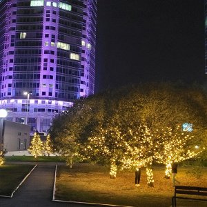 Гирлянда для улицы 25м 300 ламп LED чёрный провод, 8 реж, IP-54, Теплый белый (возможность соединения)