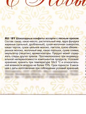 Конфеты шоколадные «Дед Мороз», ассорти с лесным орехом, 154 г