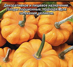 Тыква твердокорая Мандаринка
