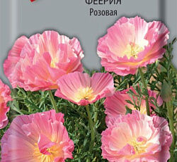 Эшшольция Феерия Розовая