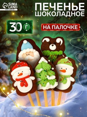 Печенье шоколадное новогоднее на палочке «Зимнее», МИКС, 30 г