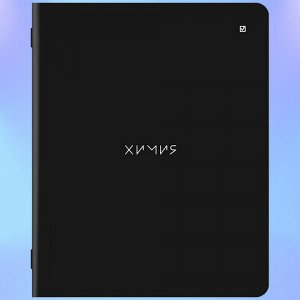 Тетради предметные, КОМПЛЕКТ 12 ПРЕДМЕТОВ, 48 л., матовая ламинация, BRAUBERG, "MINIMAL", 404831