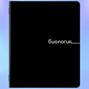 Тетради предметные, КОМПЛЕКТ 12 ПРЕДМЕТОВ, 48 л., обложка картон, BRAUBERG "BLACK", 405164
