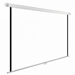 Экран Cactus WallExpert CS-PSWE-200x200-WT, 200x200 см, 1:1, настенно-потолочный, белый