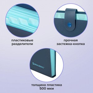 Папка-органайзер на кнопке 12 отделений, BRAUBERG "Extra", А4, синяя с голубым, 271933